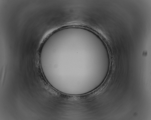 X0000091661358200708230941