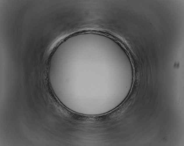 X0000091661359200708230941
