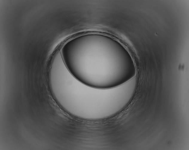 X0000091661360200708230940