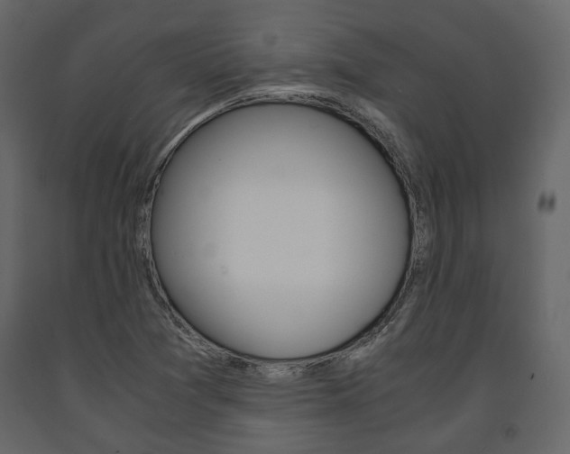 X0000091661361200708230940