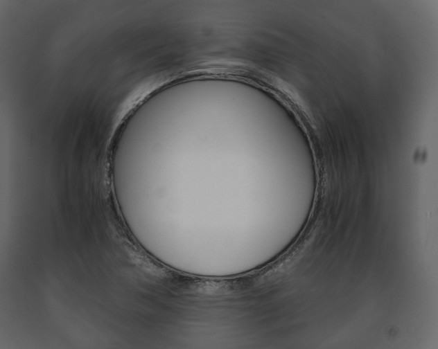 X0000091661362200708230940