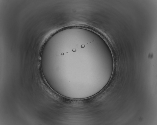 X0000091661363200708230940