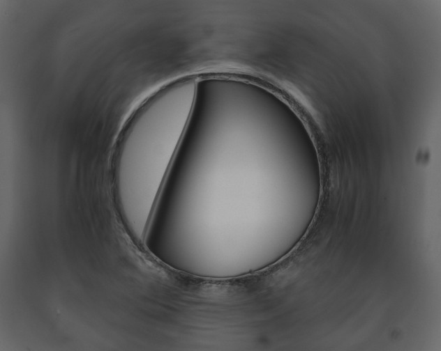 X0000091661364200708230940