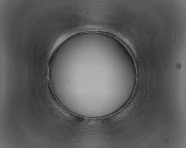 X0000091661365200708230940