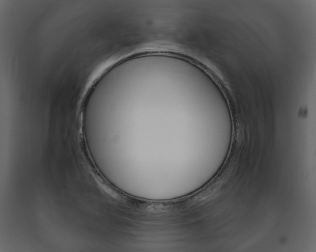 X0000091661366200708230940