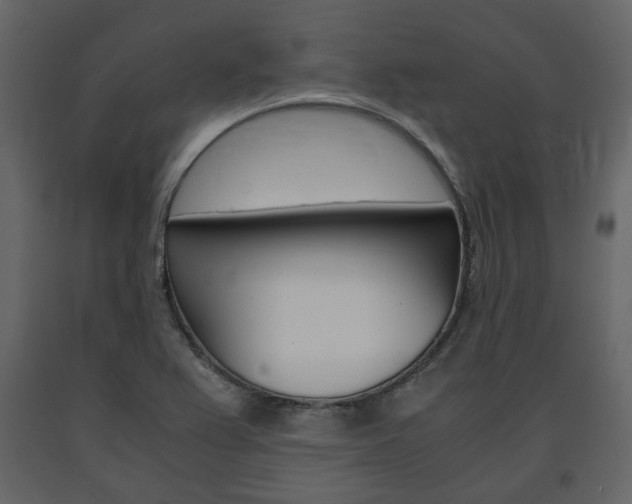 X0000091661367200708230940