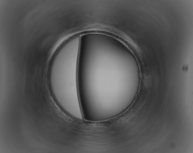 X0000091661368200708230940