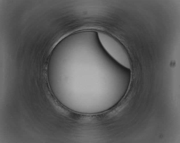 X0000091661369200708230940