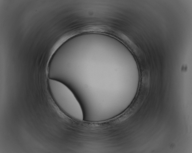 X0000091661370200708230940