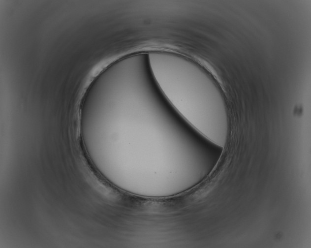 X0000091661371200708230940