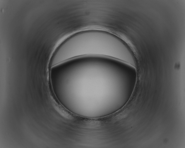 X0000091661372200708230940