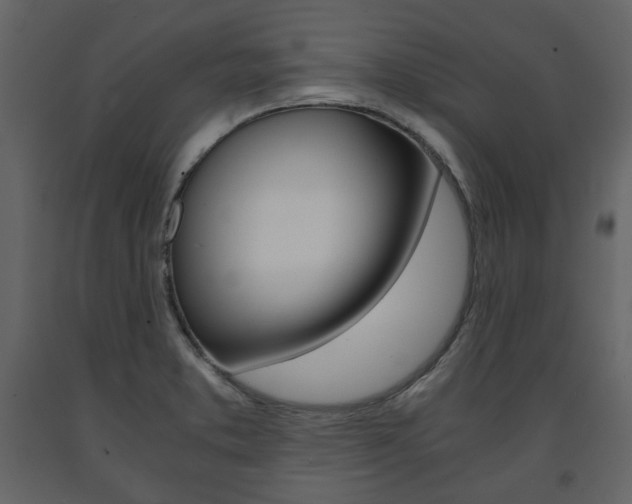 X0000091661373200708230940
