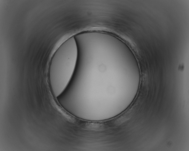 X0000091661374200708230940