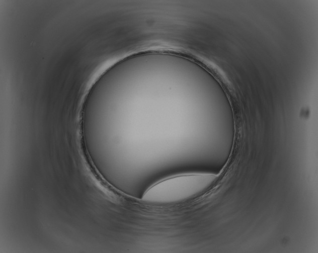 X0000091661375200708230940