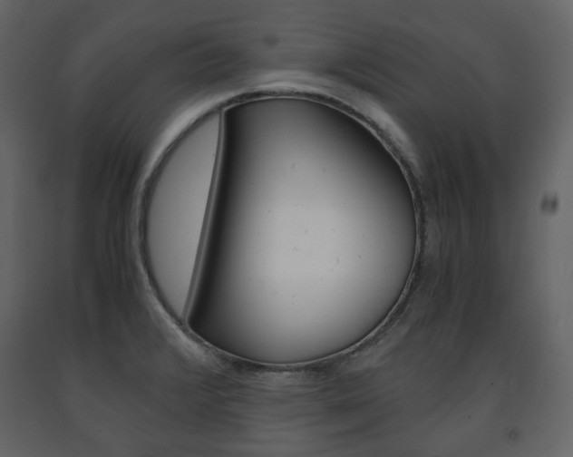 X0000091661376200708230940
