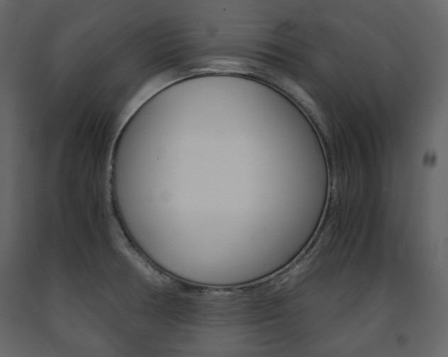 X0000091661378200708230940