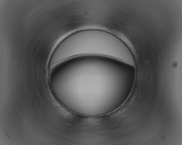 X0000091661380200708230940