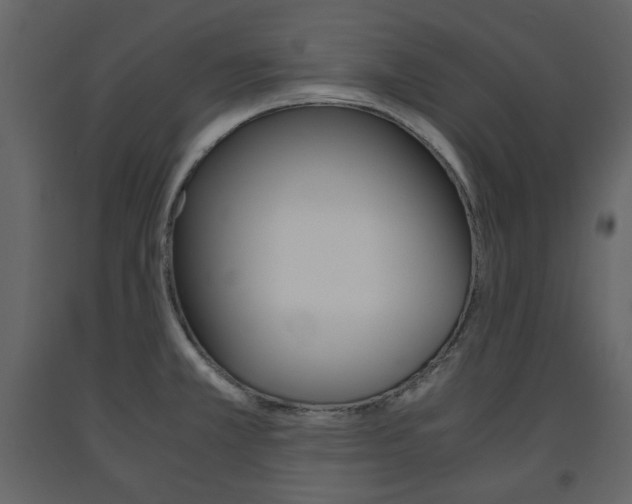 X0000091661381200708230940