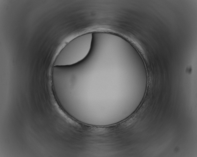 X0000091661382200708230940