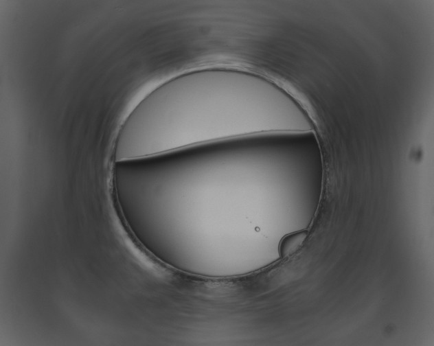 X0000091661383200708230940