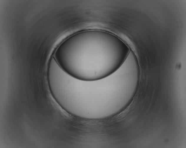 X0000091661384200708230940