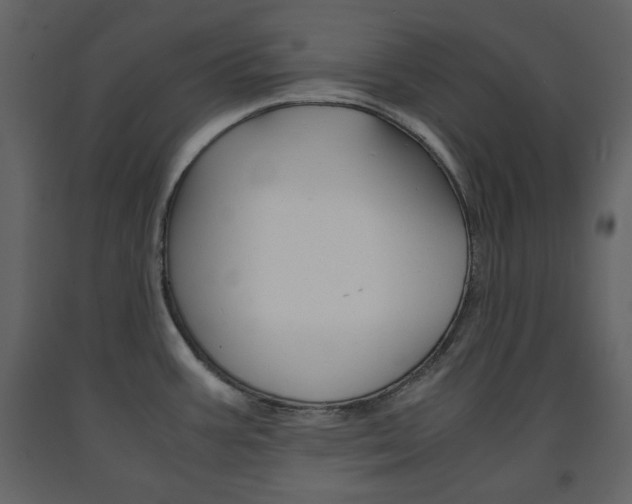 X0000091661387200708230940
