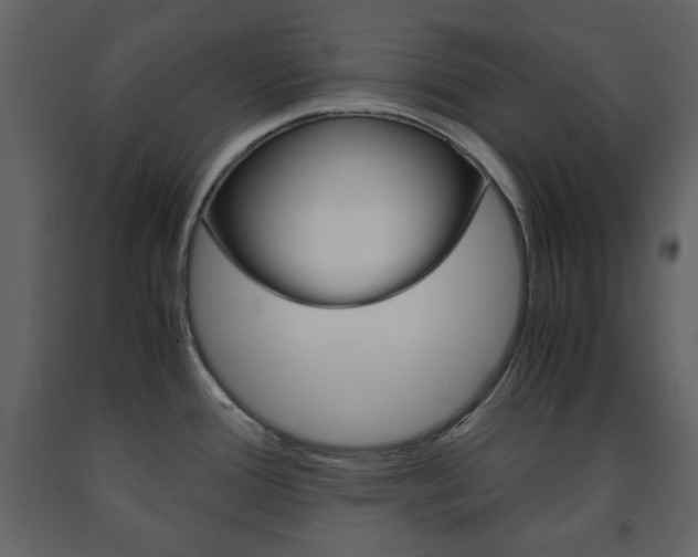X0000091661388200708230940