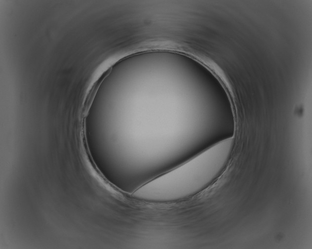 X0000091661389200708230940
