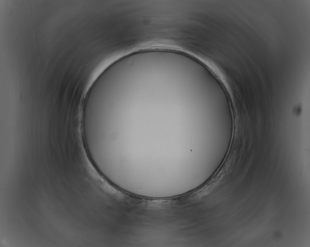 X0000091661390200708230940
