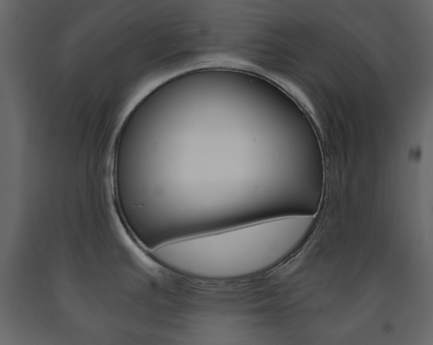 X0000091661391200708230940