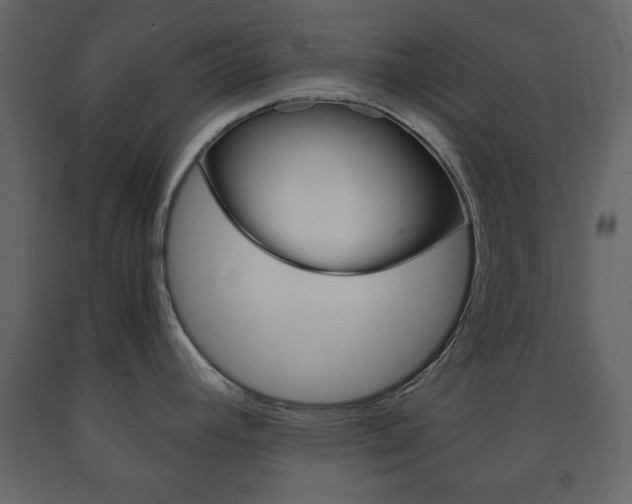 X0000091661392200708230940