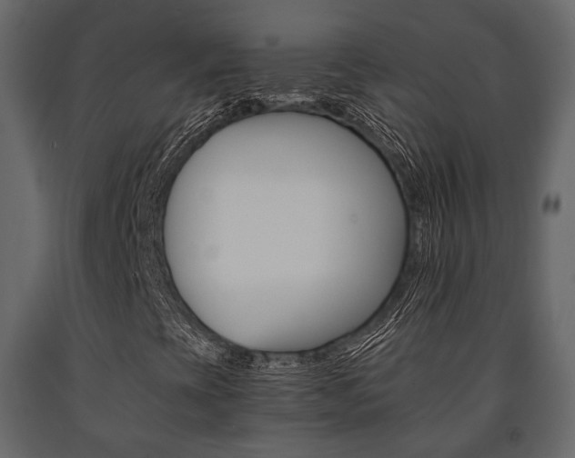 X0000091661393200708230939