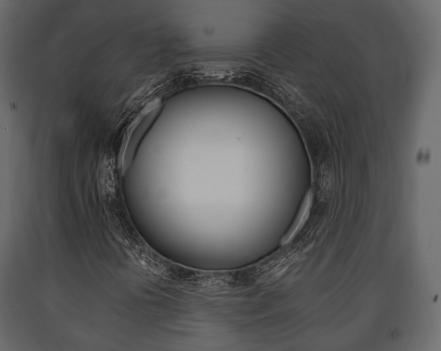 X0000091661394200708230939
