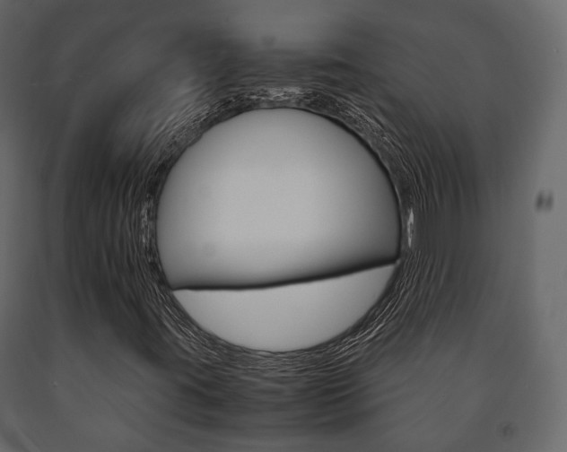 X0000091661395200708230939