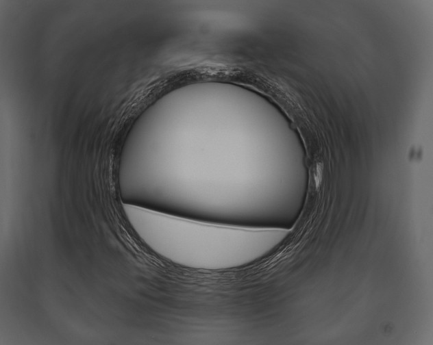 X0000091661396200708230939