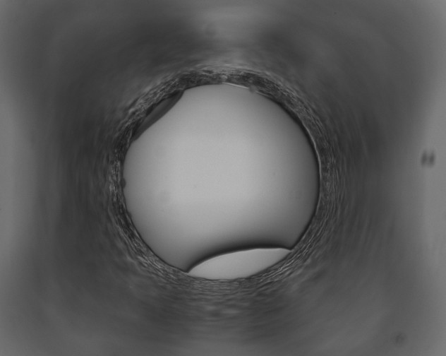 X0000091661397200708230939