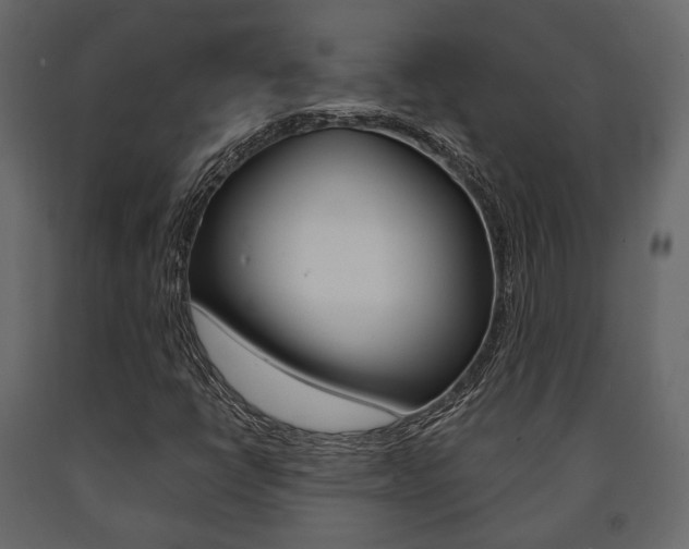 X0000091661398200708230939