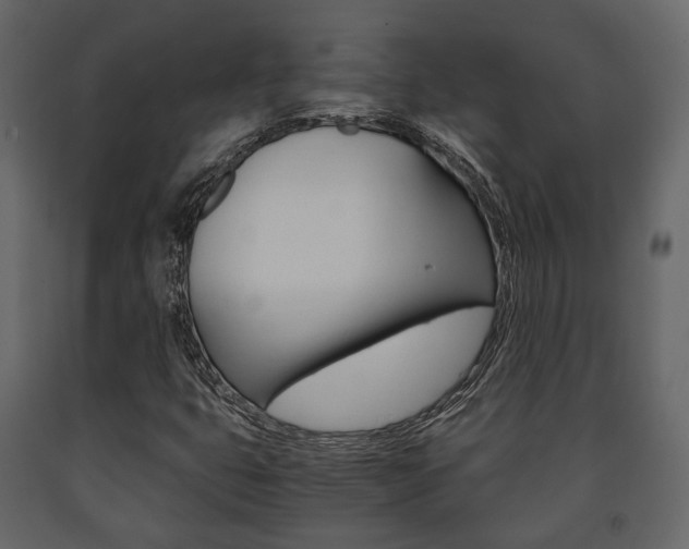 X0000091661399200708230939