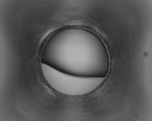 X0000091661400200708230939