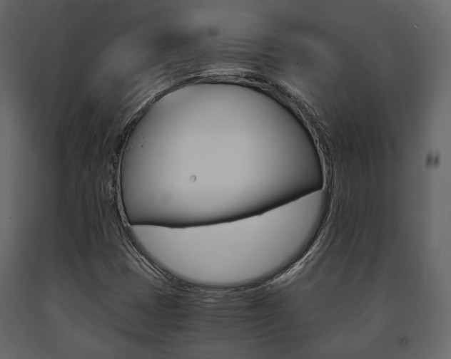 X0000091661401200708230939