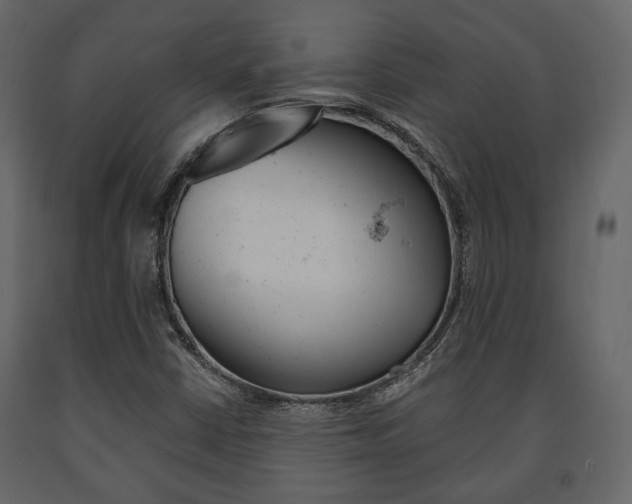 X0000091661402200708230940