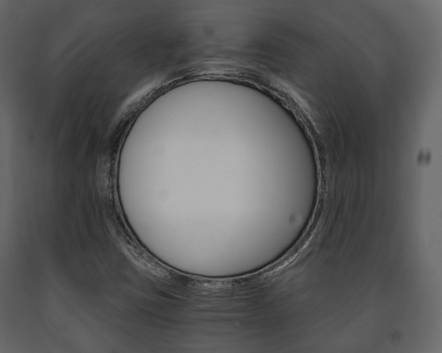 X0000091661403200708230940