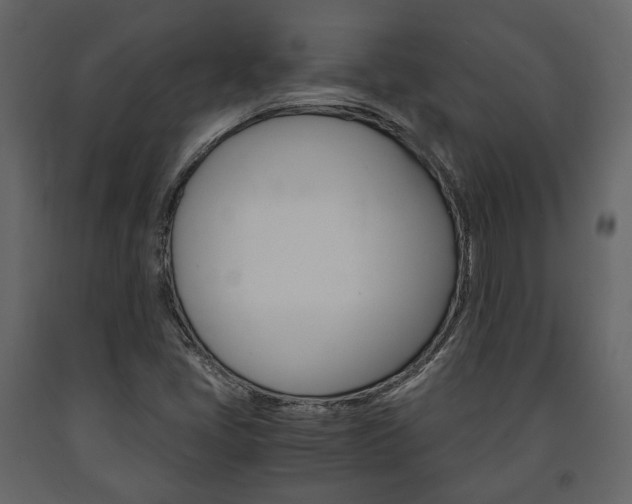 X0000091661405200708230940
