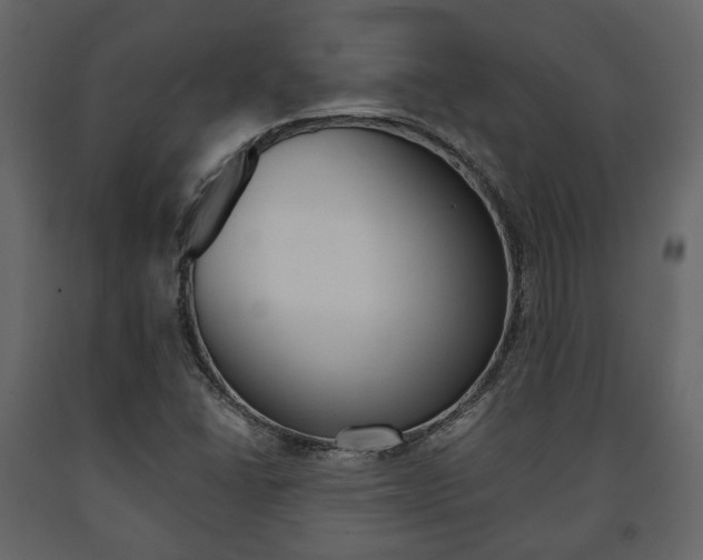 X0000091661406200708230940