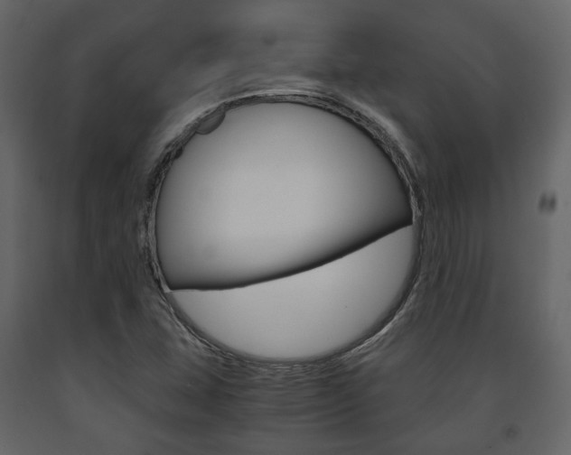 X0000091661407200708230940