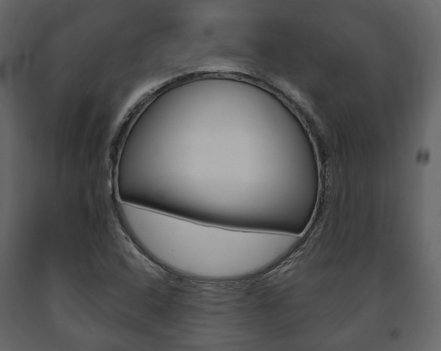 X0000091661408200708230940