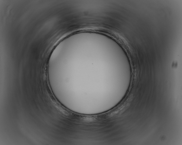 X0000091661409200708230940