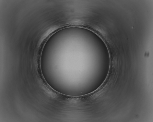 X0000091661410200708230940
