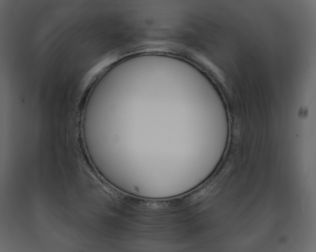X0000091661411200708230940