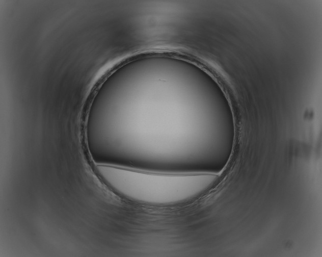 X0000091661412200708230940